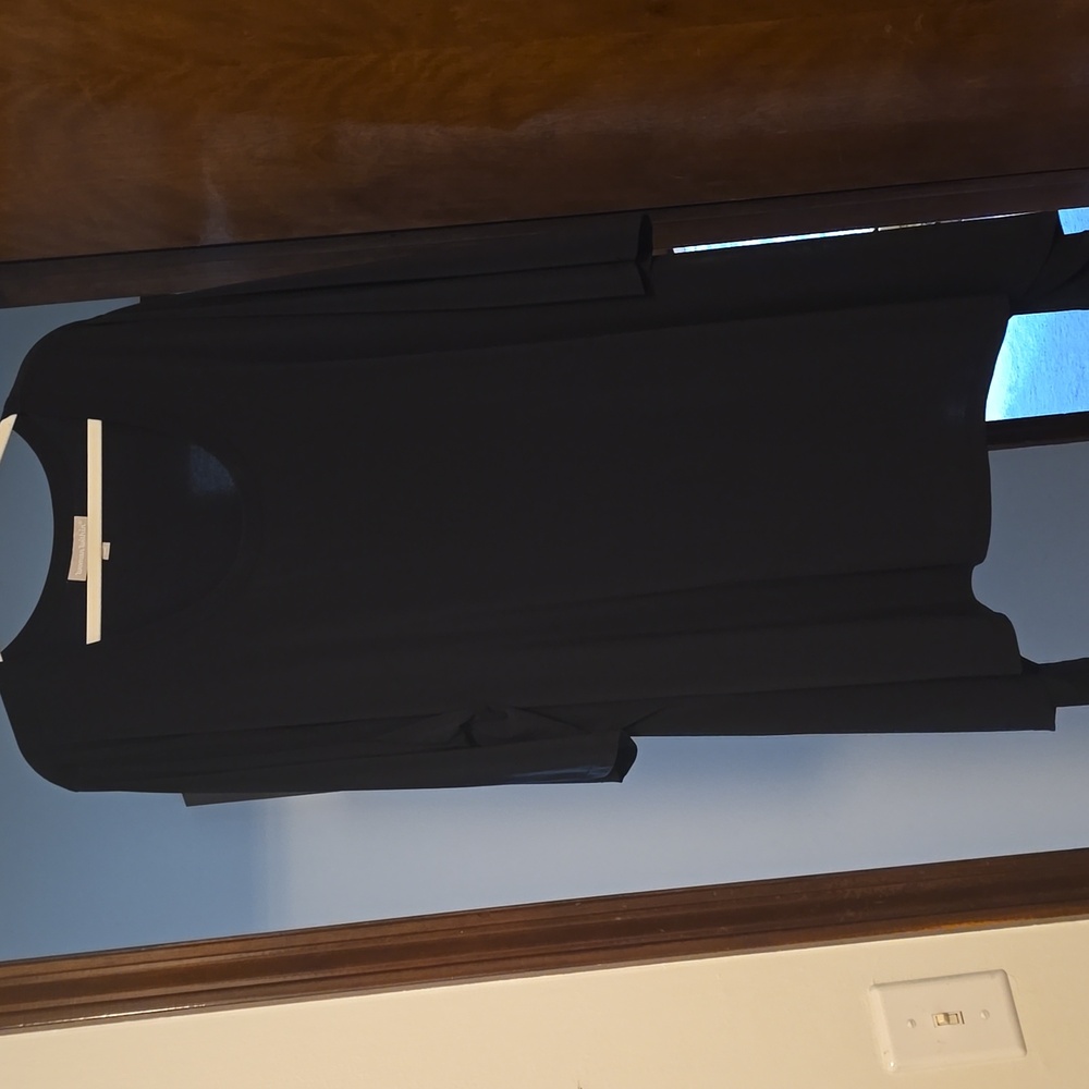 Woman Within Black Long Sleeve Top or dress